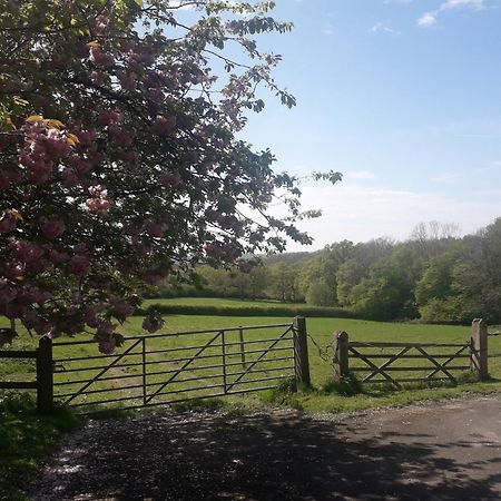 Danehill Moaps Farm B&B Support Small Business, Welcome, Check In From 5 Pm المظهر الخارجي الصورة