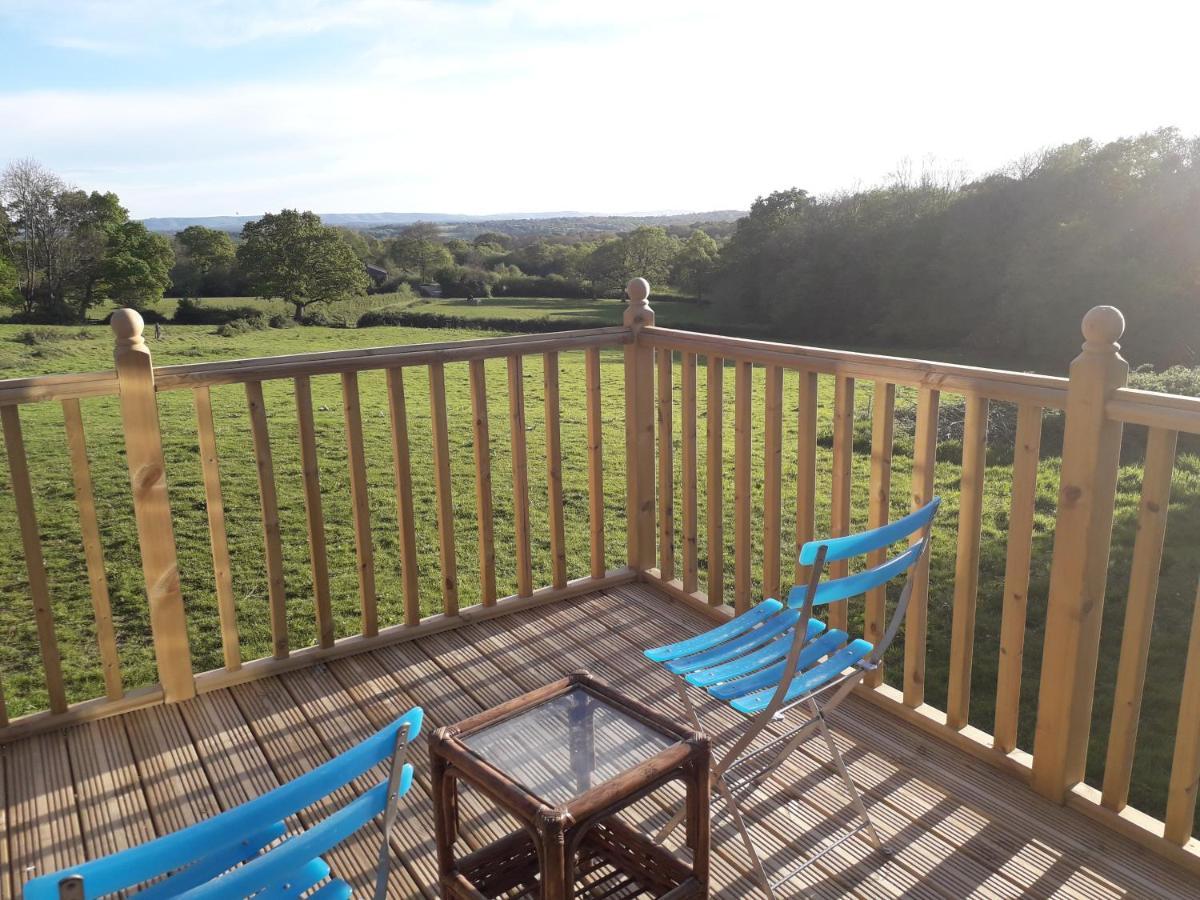 Danehill Moaps Farm B&B Support Small Business, Welcome, Check In From 5 Pm المظهر الخارجي الصورة