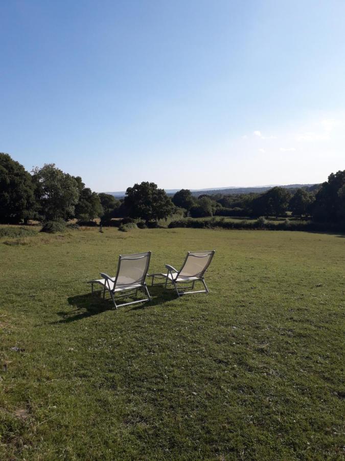 Danehill Moaps Farm B&B Support Small Business, Welcome, Check In From 5 Pm المظهر الخارجي الصورة