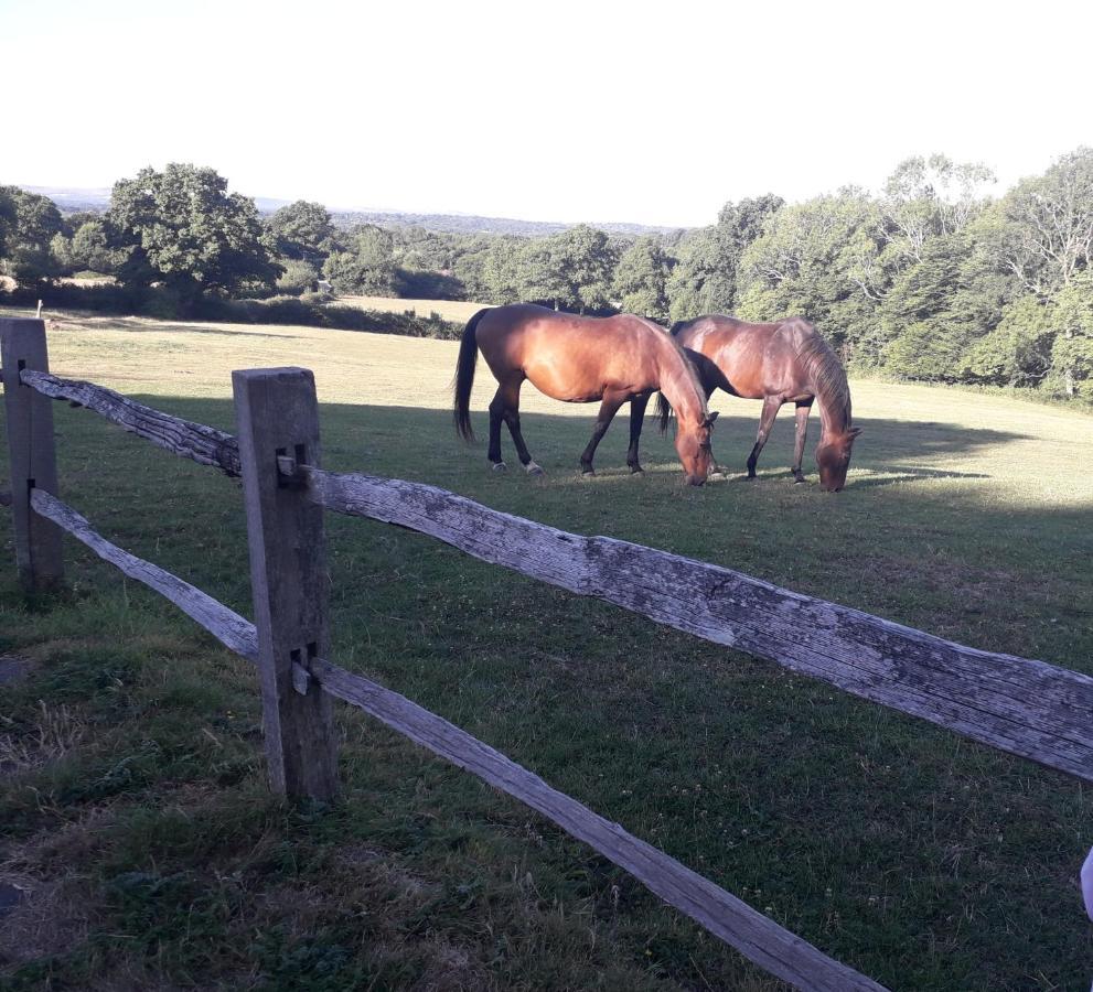 Danehill Moaps Farm B&B Support Small Business, Welcome, Check In From 5 Pm المظهر الخارجي الصورة