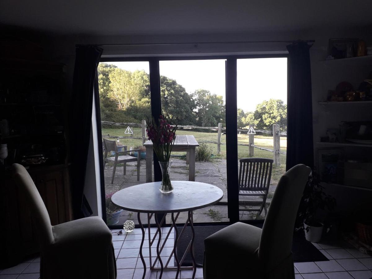 Danehill Moaps Farm B&B Support Small Business, Welcome, Check In From 5 Pm المظهر الخارجي الصورة