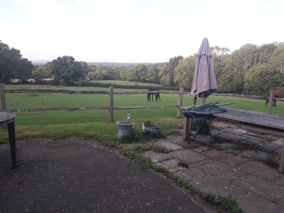 Danehill Moaps Farm B&B Support Small Business, Welcome, Check In From 5 Pm المظهر الخارجي الصورة