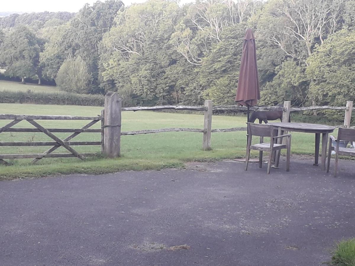 Danehill Moaps Farm B&B Support Small Business, Welcome, Check In From 5 Pm المظهر الخارجي الصورة