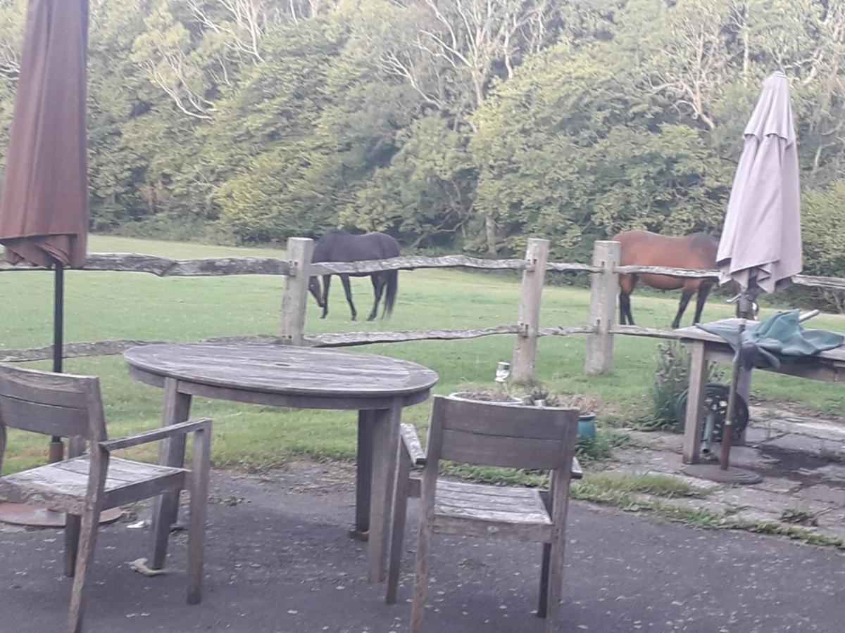 Danehill Moaps Farm B&B Support Small Business, Welcome, Check In From 5 Pm المظهر الخارجي الصورة