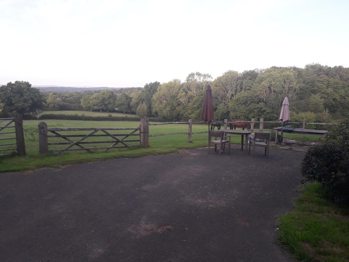 Danehill Moaps Farm B&B Support Small Business, Welcome, Check In From 5 Pm المظهر الخارجي الصورة