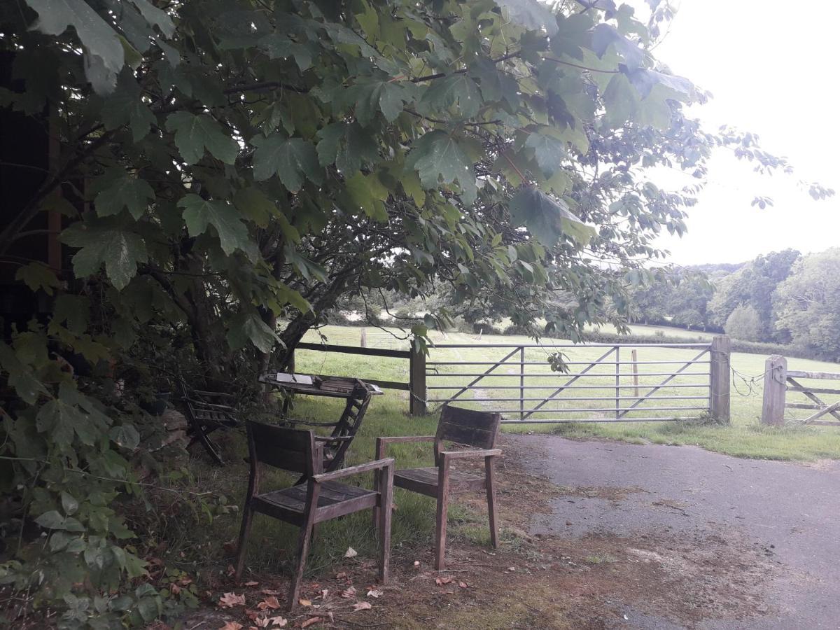 Danehill Moaps Farm B&B Support Small Business, Welcome, Check In From 5 Pm المظهر الخارجي الصورة