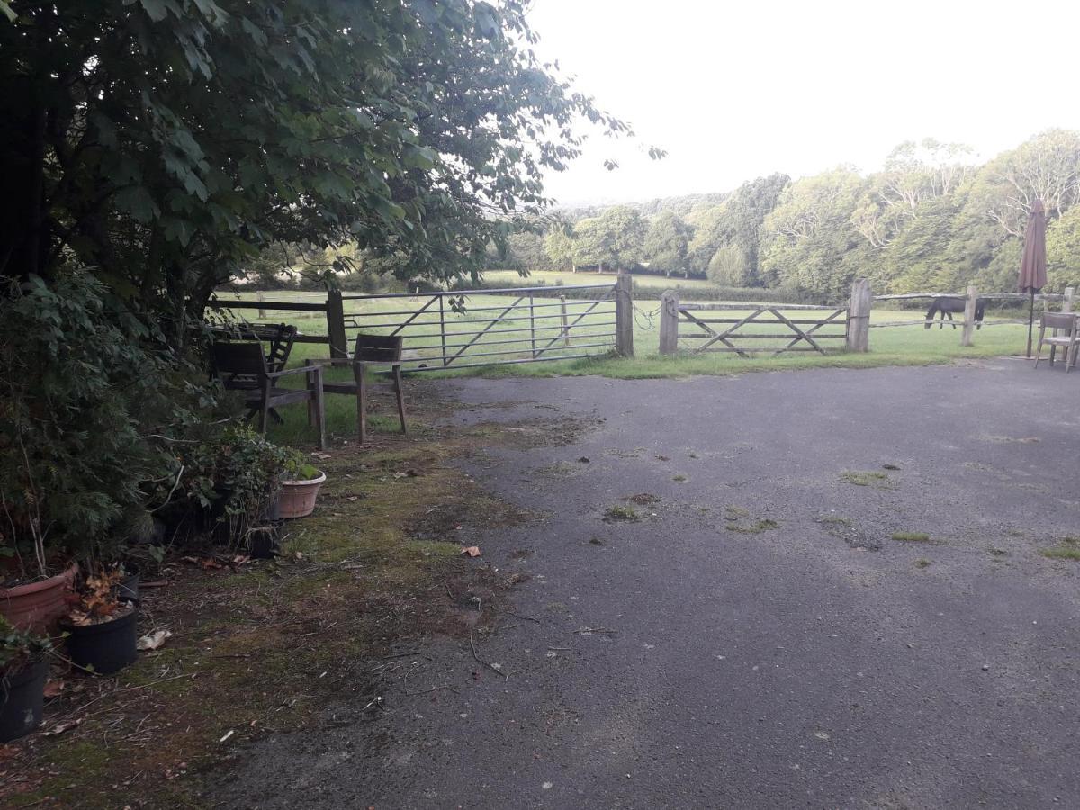 Danehill Moaps Farm B&B Support Small Business, Welcome, Check In From 5 Pm المظهر الخارجي الصورة