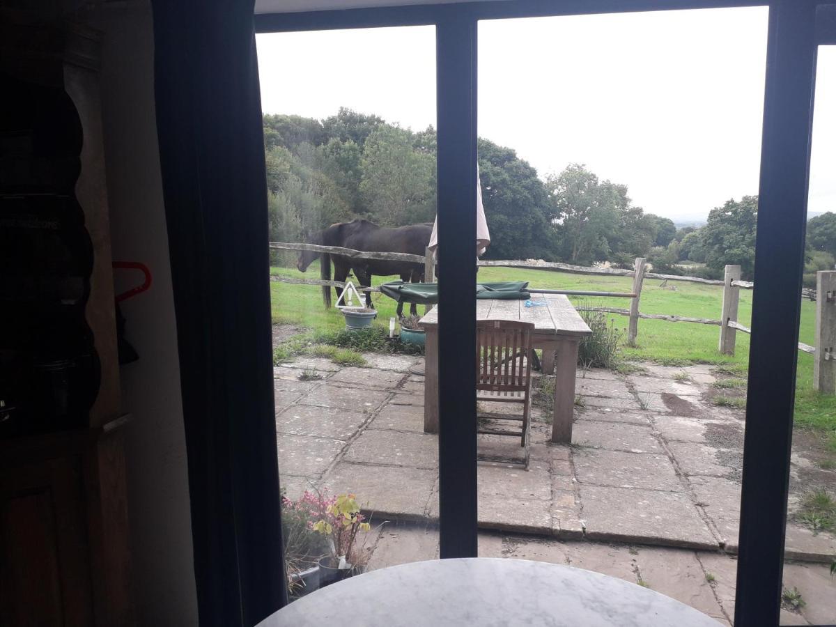 Danehill Moaps Farm B&B Support Small Business, Welcome, Check In From 5 Pm المظهر الخارجي الصورة