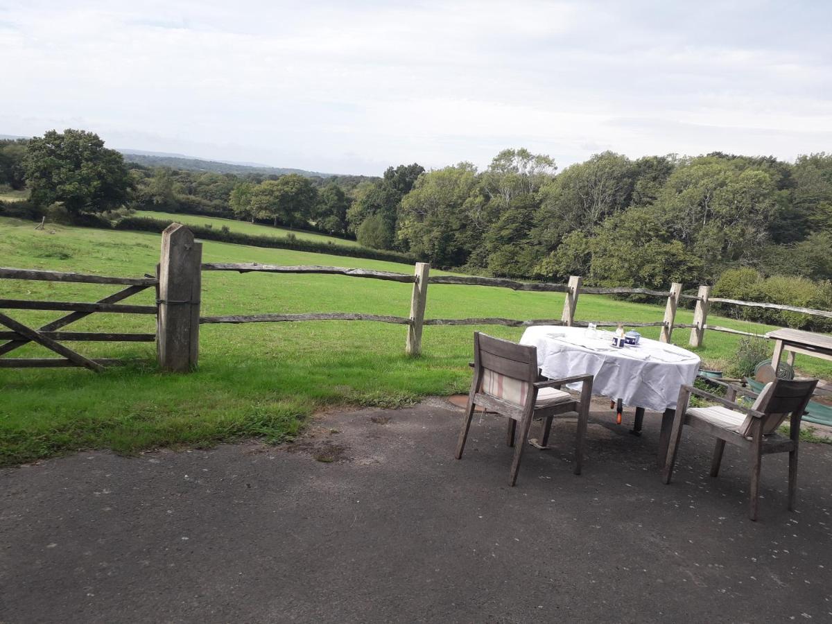 Danehill Moaps Farm B&B Support Small Business, Welcome, Check In From 5 Pm المظهر الخارجي الصورة