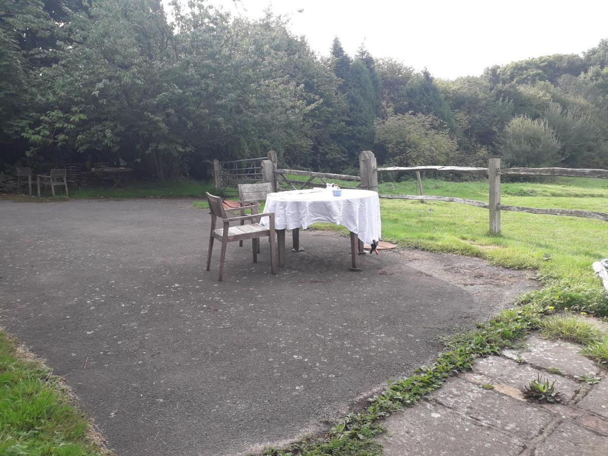 Danehill Moaps Farm B&B Support Small Business, Welcome, Check In From 5 Pm المظهر الخارجي الصورة
