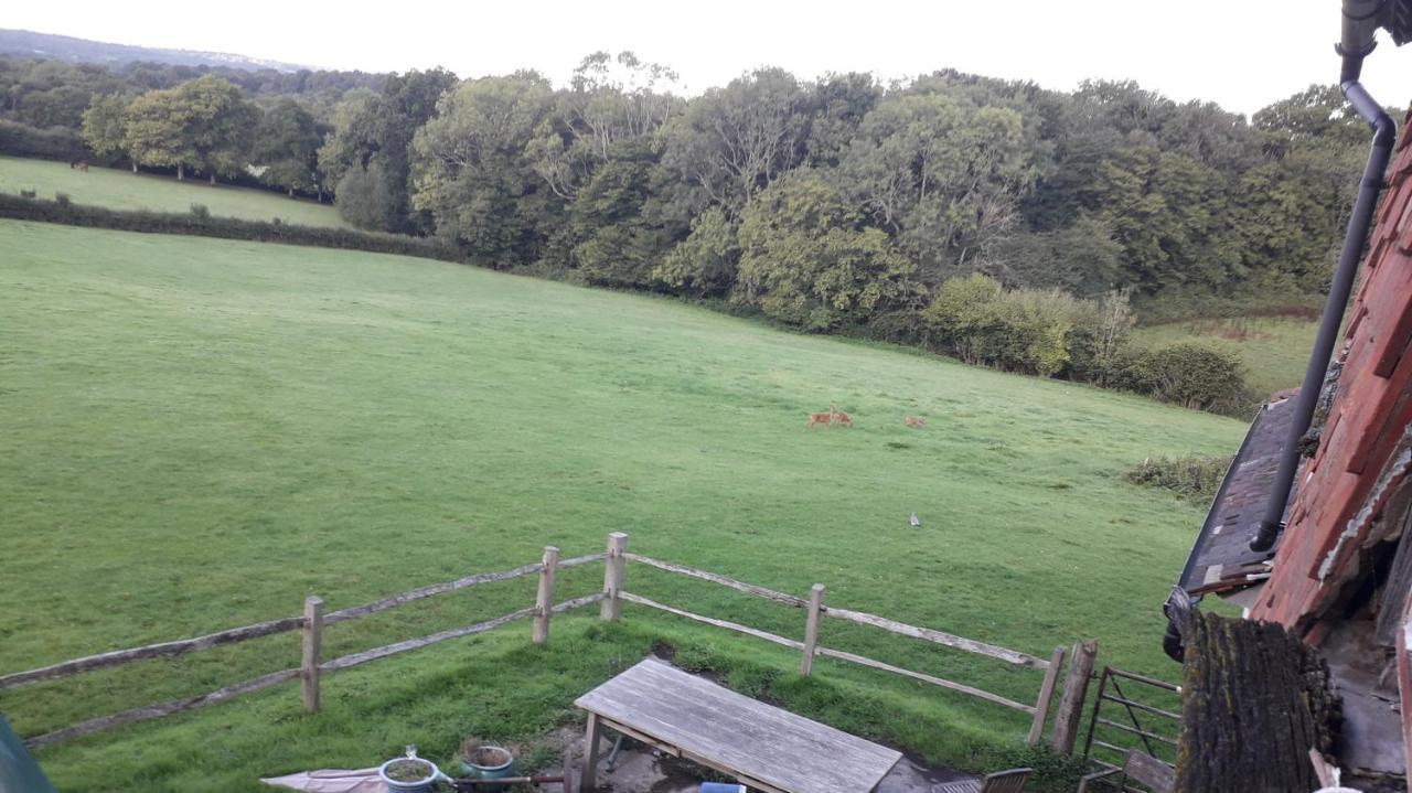 Danehill Moaps Farm B&B Support Small Business, Welcome, Check In From 5 Pm المظهر الخارجي الصورة