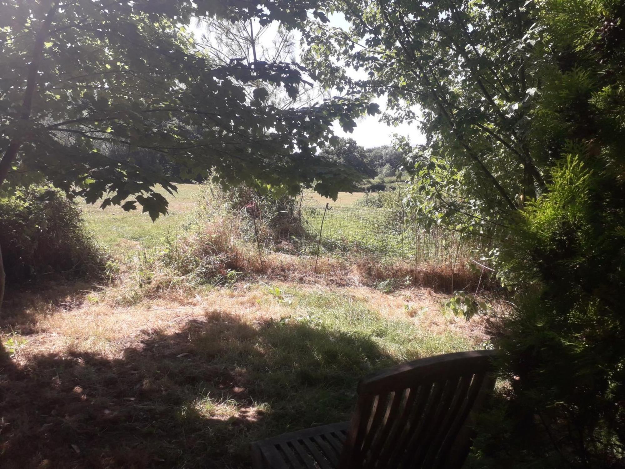 Danehill Moaps Farm B&B Support Small Business, Welcome, Check In From 5 Pm المظهر الخارجي الصورة